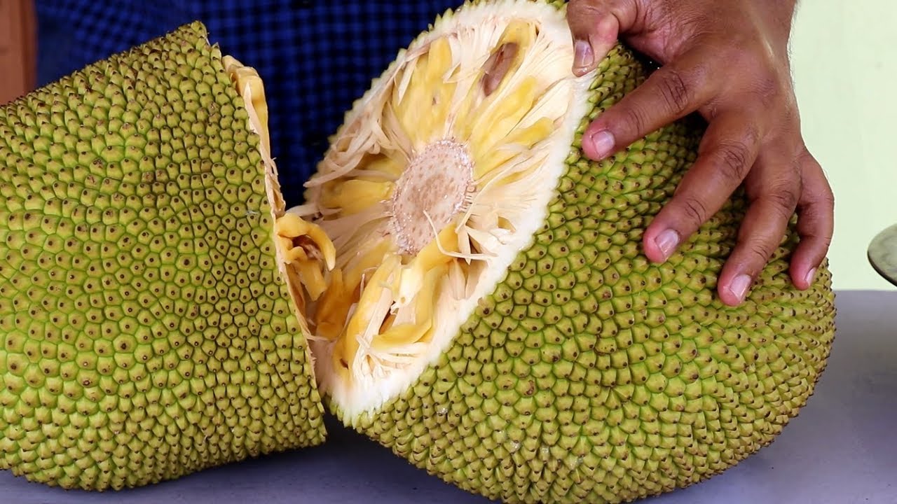 Is Jackfruit Expensive